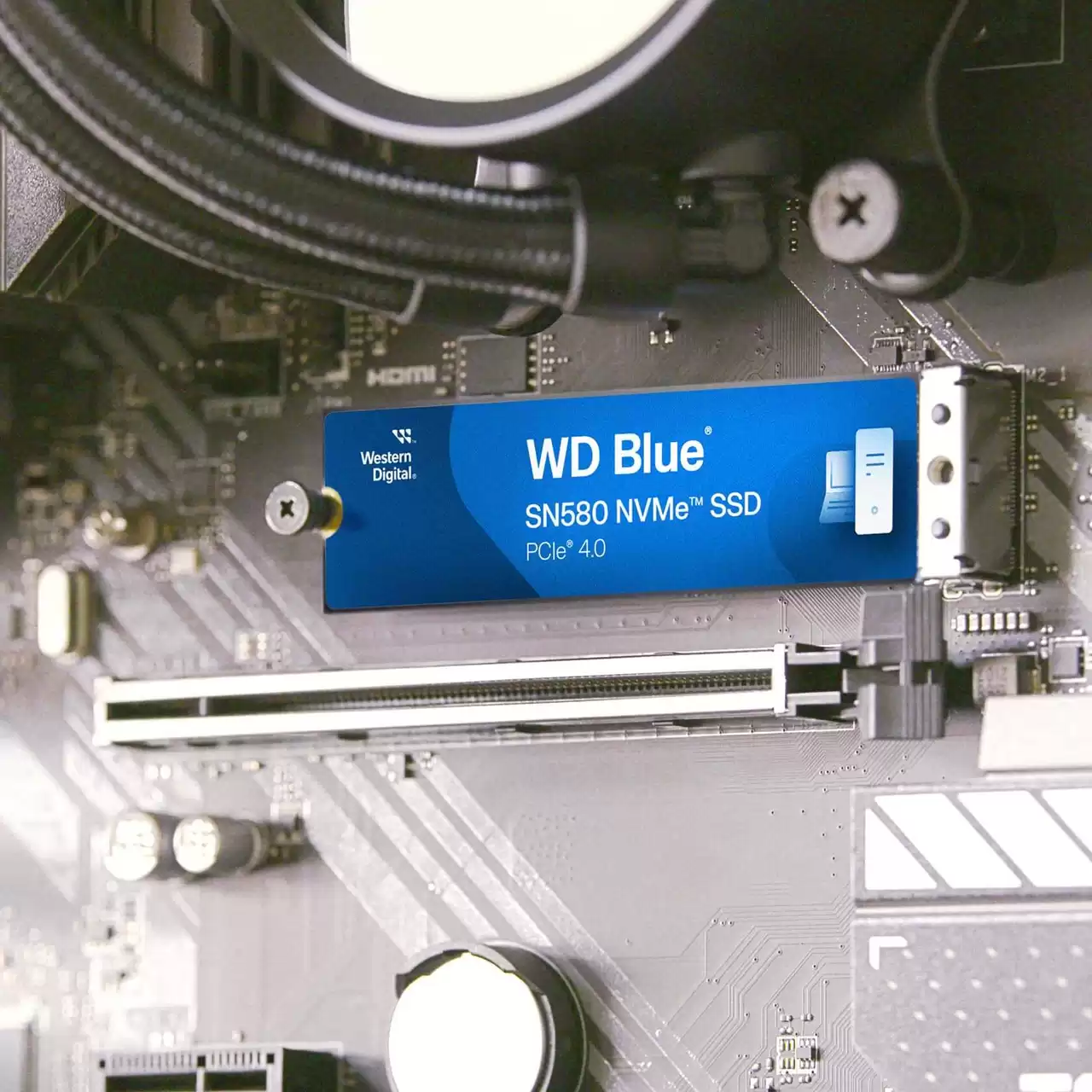 Western Digital SN580 NVMe SSD 500GB - Blue | Etisal Store