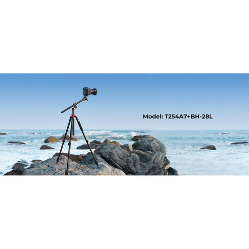 K&F Concept T254A7 Magnesium Alloy Tripod with BH-28L Ball Head
