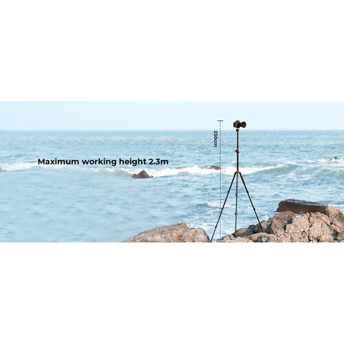 K&F Concept T254A7 Magnesium Alloy Tripod with BH-28L Ball Head