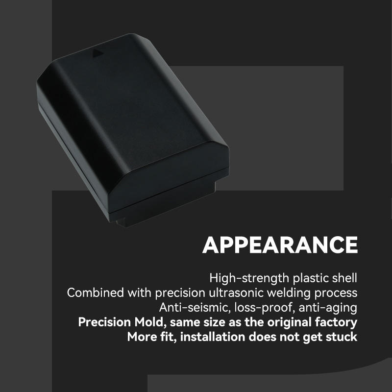 FB FZ-100 Battery
