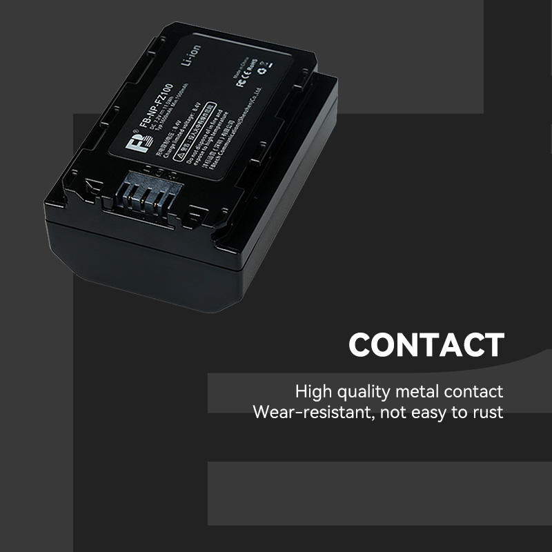 FB FZ-100 Battery