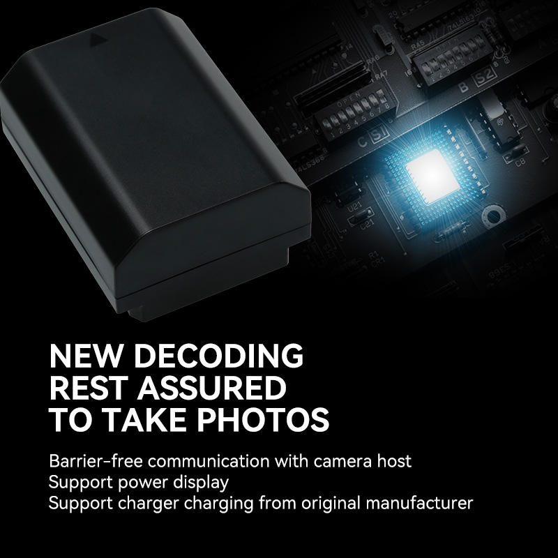 FB FZ-100 Battery
