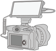 Monitor