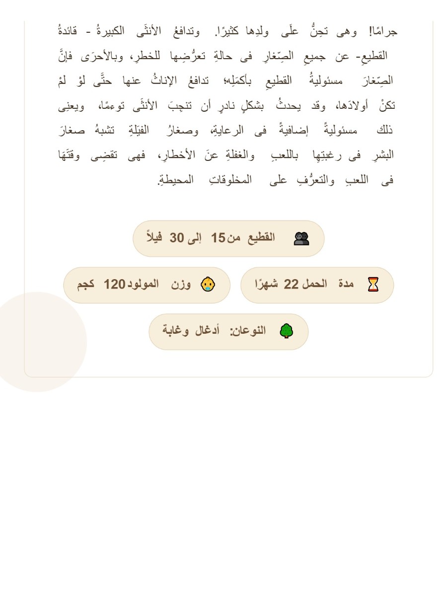 الفيل