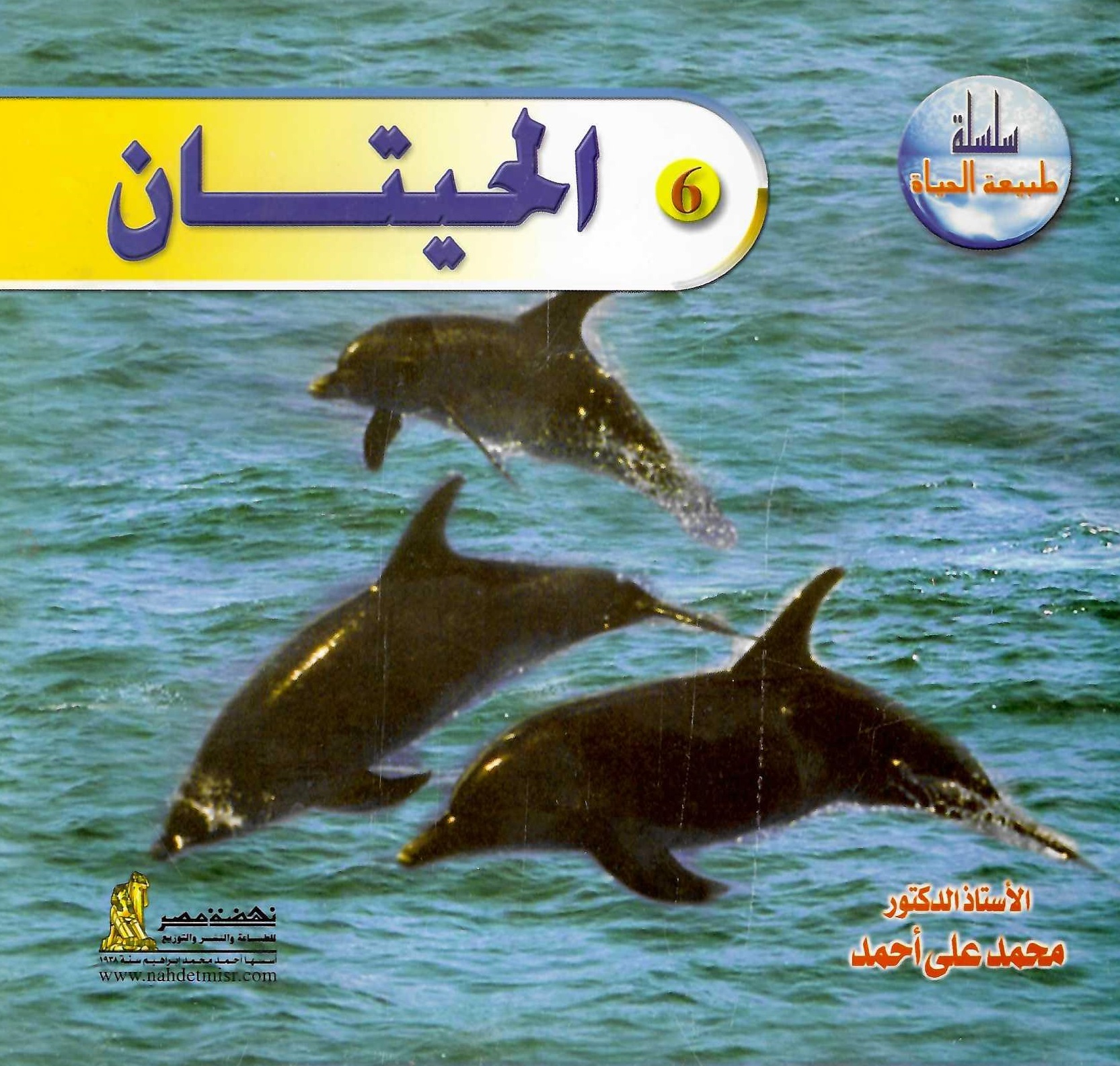 طبيعة الحياة - الحيتان طبيعة الحياة - الحيتان