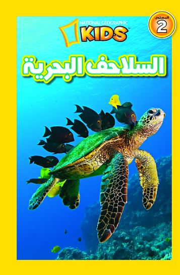 السلاحف البحرية السلاحف البحرية