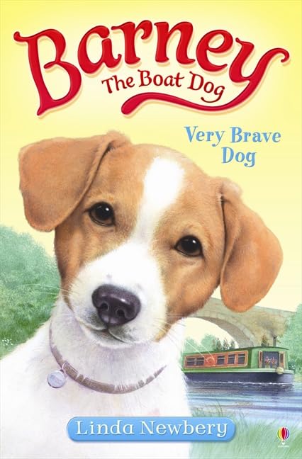 Usborne Story Very Brave Dog