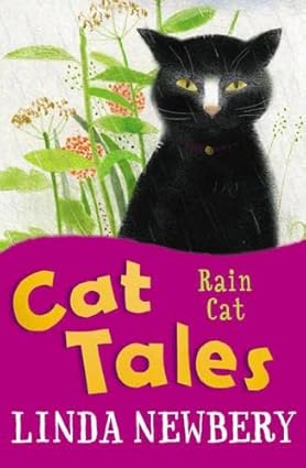 Usborne Story Rain Cat