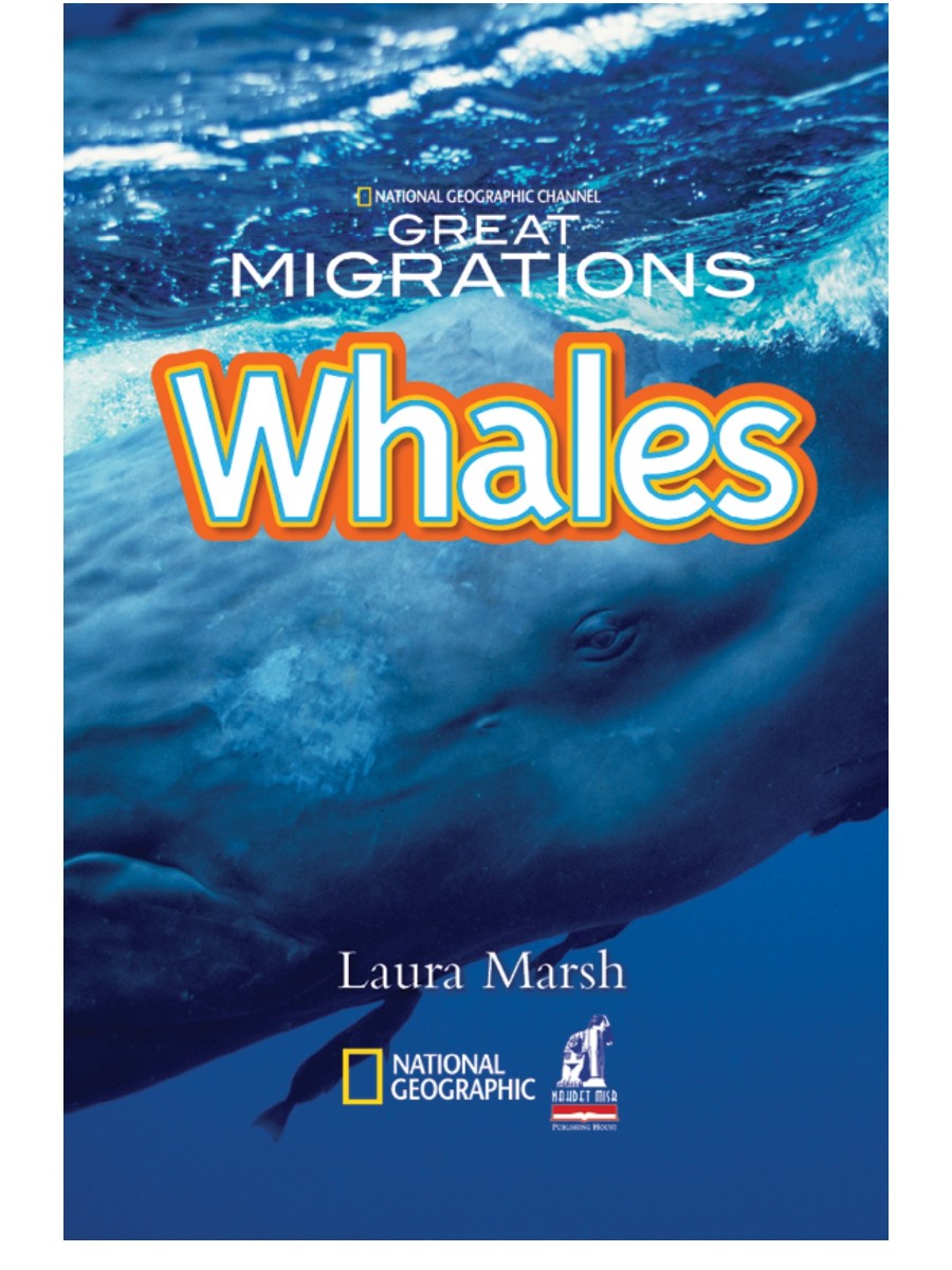 Whales