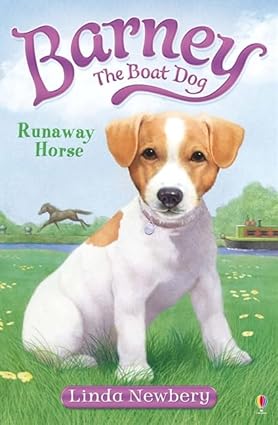 Usborne Story Runaway Horse