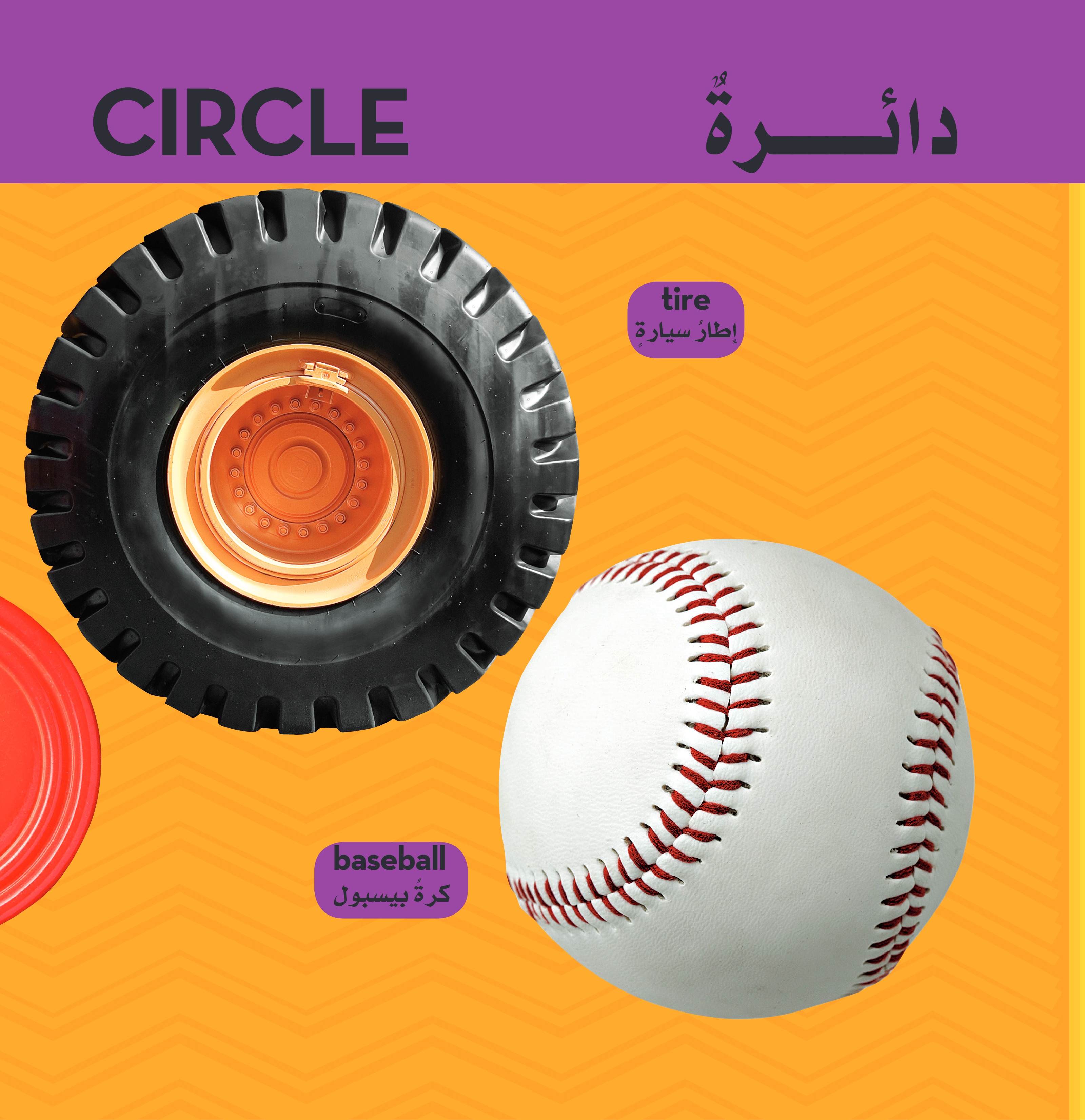 الأشكال