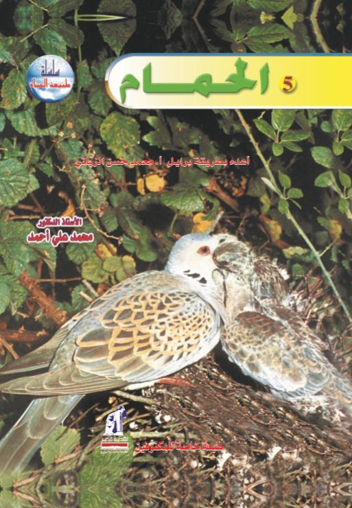 طبيعة الحياة الحمام طبيعة الحياة الحمام