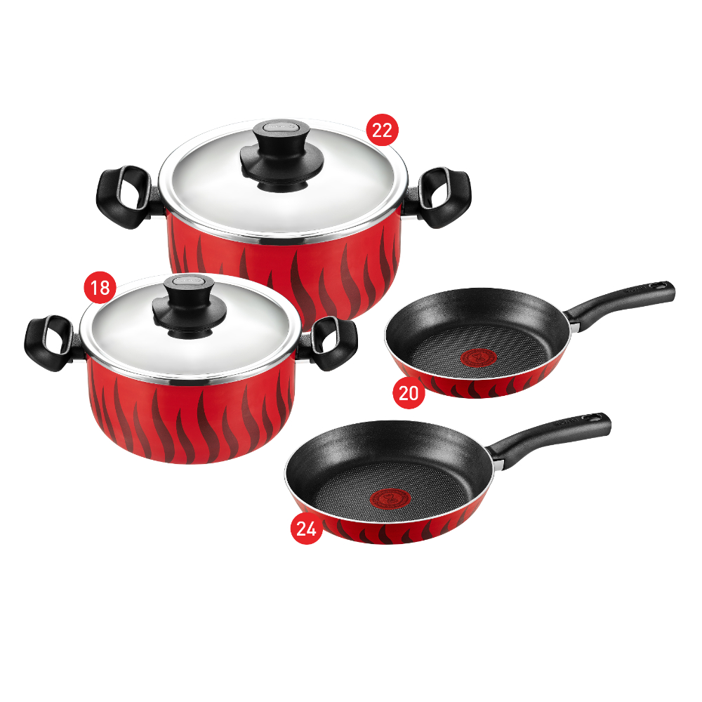 Tefal Tempo Flame Cooking Set, Stewpot Size 20,24 + Frypan 18 + Moulinex Turbomix Plus Hand Blender, 350 watt, Beaker 800 ml - DD1001EG Tefal Tempo Flame Cooking Set, Stewpot Size 20,24 + Frypan 18 + Moulinex Turbomix Plus Hand Blender, 350 watt, Beaker 800 ml - DD1001EG