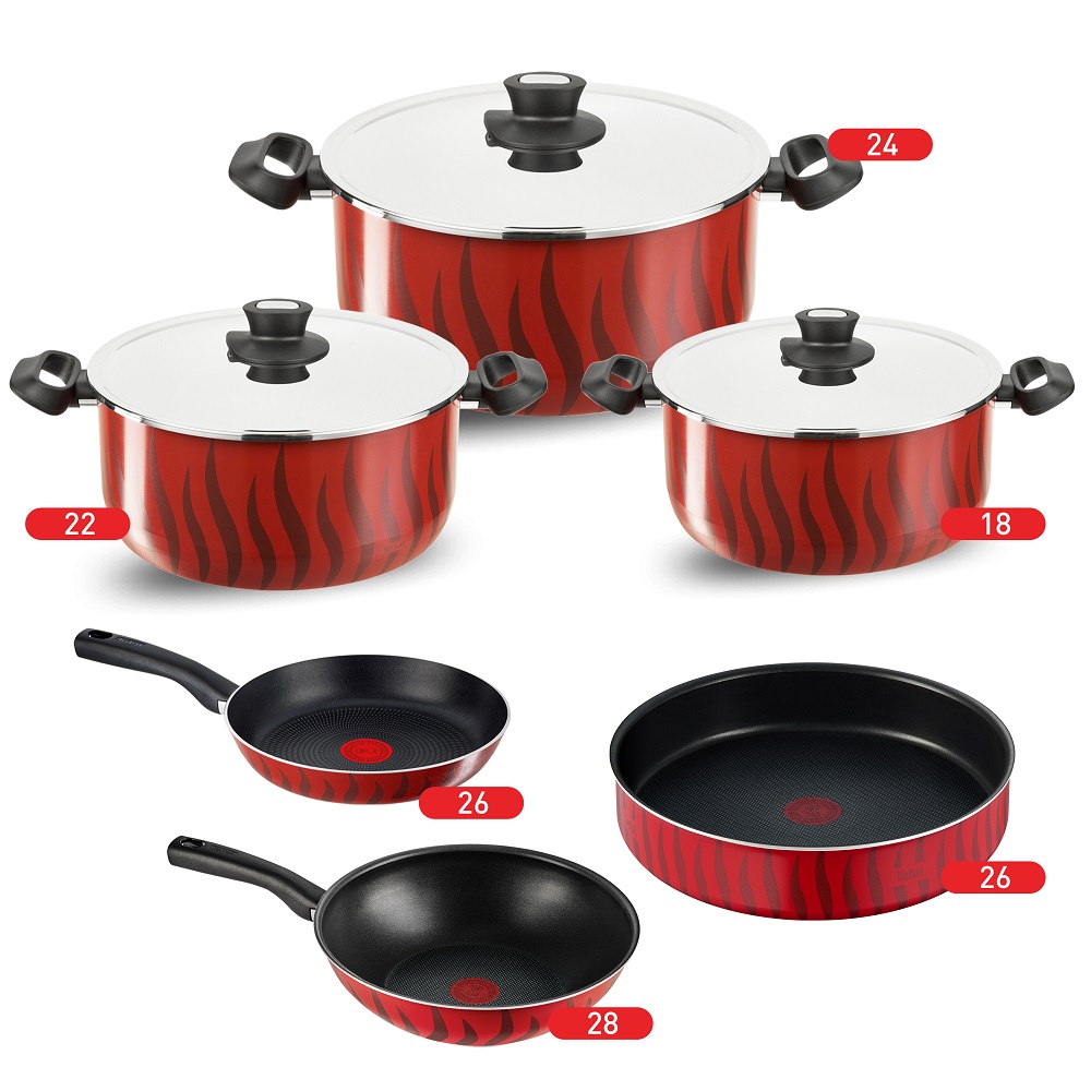 Tefal Tempo Flame Cooking Set, Stewpot Size 20,24 + Frypan 18 + Moulinex Turbomix Plus Hand Blender, 350 watt, Beaker 800 ml - DD1001EG Tefal Tempo Flame Cooking Set, Stewpot Size 20,24 + Frypan 18 + Moulinex Turbomix Plus Hand Blender, 350 watt, Beaker 800 ml - DD1001EG